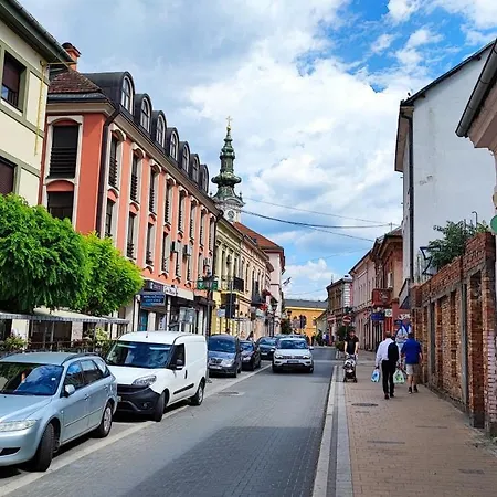 Filinhome Pasica Apartament *