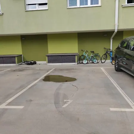 Filinhome Pasica Nowy Sad